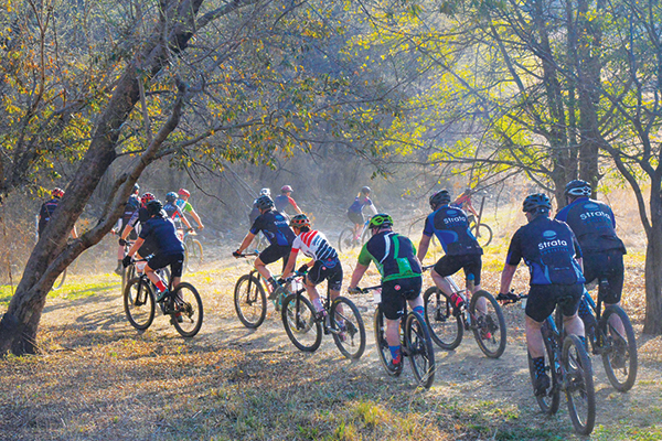 Cradle mountain best sale bike trail