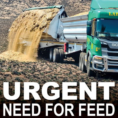 <p>URGENT NEED FOR FEED</p>
