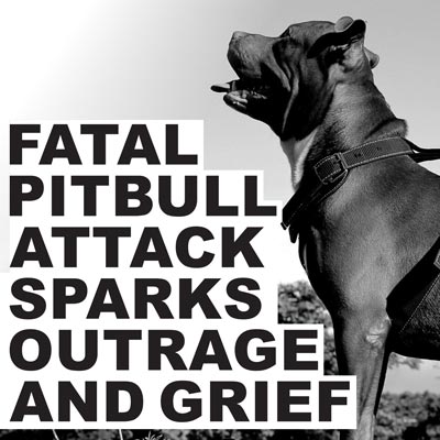<p>Fatal Pitbull attack sparks outrage and grief</p>
