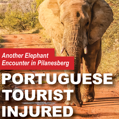 <p>Another Elephant Encounter in Pilanesberg<br />
PORTUGUESE TOURIST INJURED</p>
