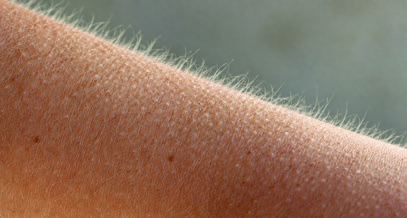 Did you know? A TINY BUMP WITH AN ANCIENT JOB…