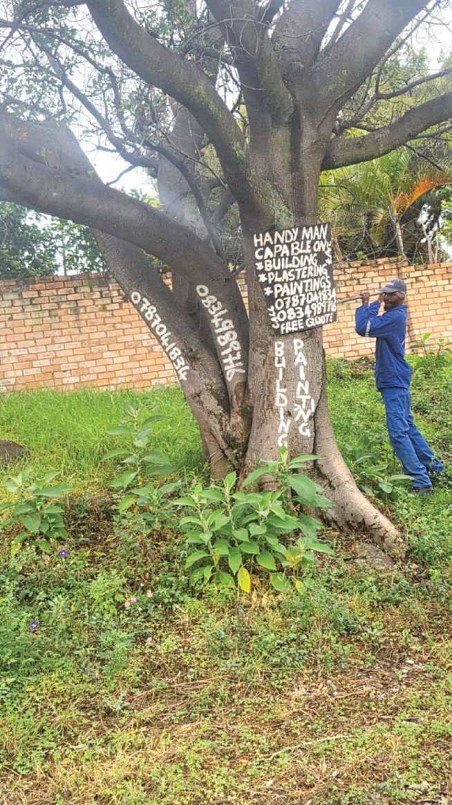 Cllr Tanya Rothman and the Our Ward Matters team removed illegally displayed advertisements from public spaces in the Rivers area on Monday and Tuesday, 7 and 8 September.